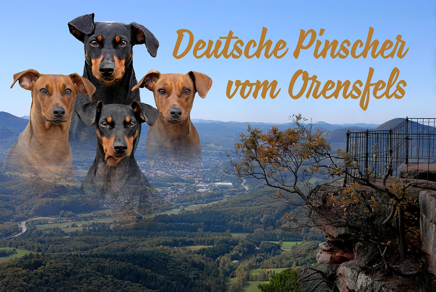 img-start-banner-2025