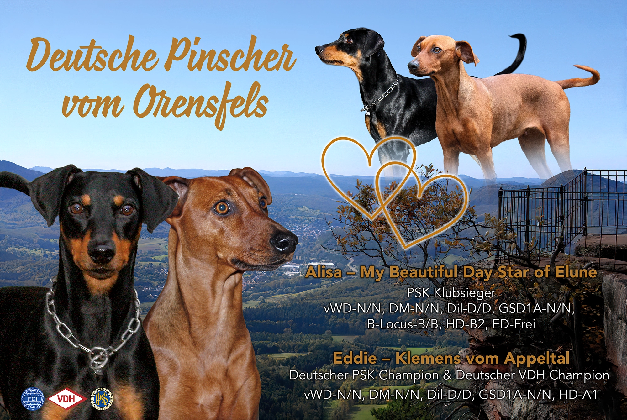 2026-deckcover-c-wurf-dpvo